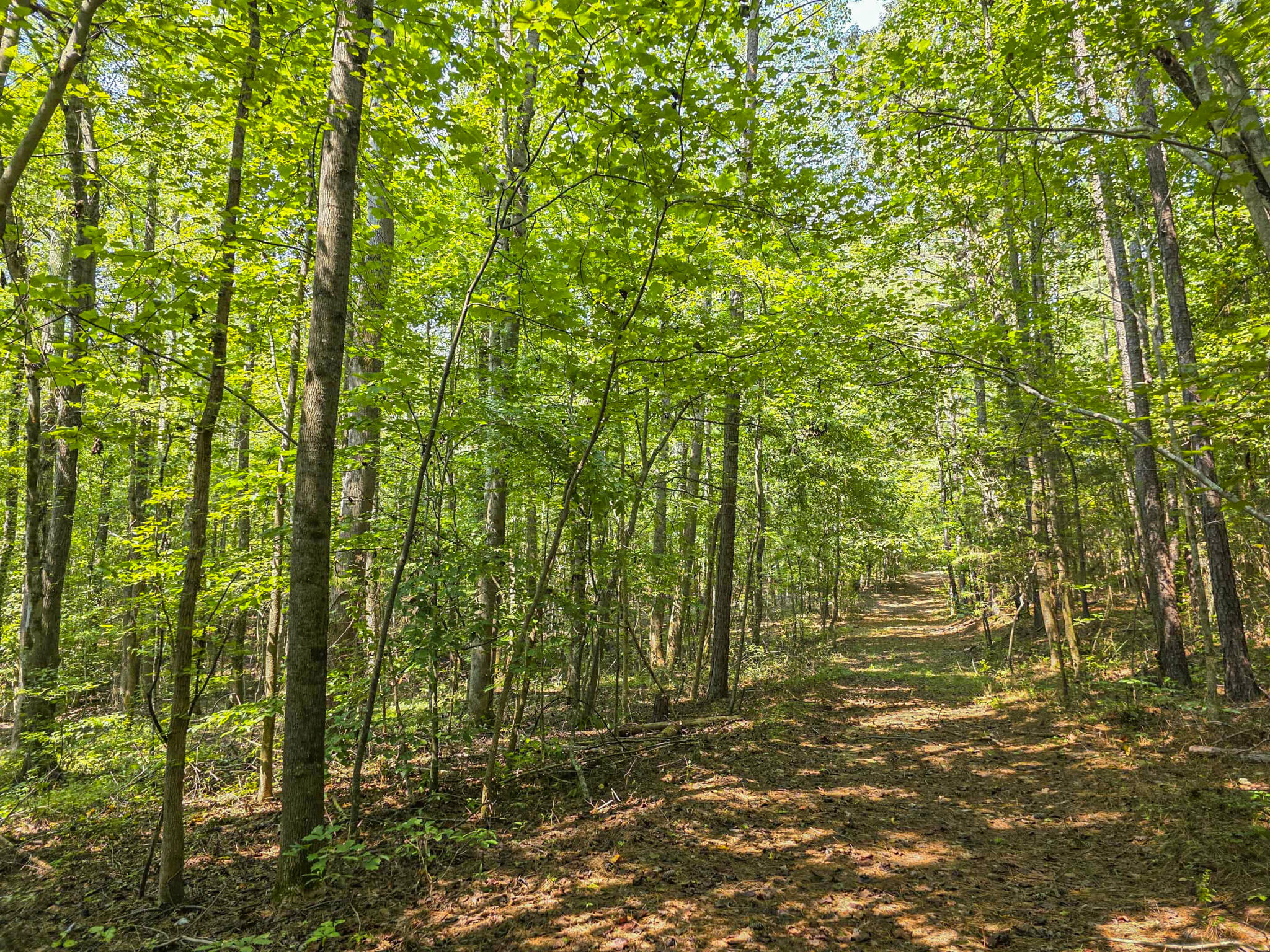 1643 Rebel Creek Road Chester, SC 29706 - Photo 3 of 16 Trail