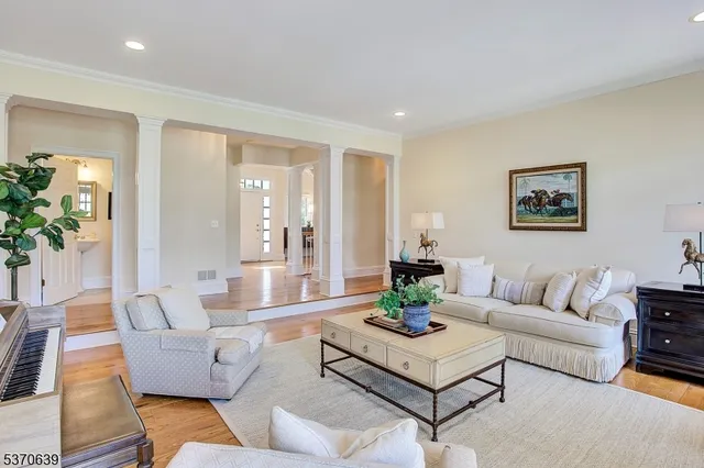 a living room with furniture or couch and a potted plant