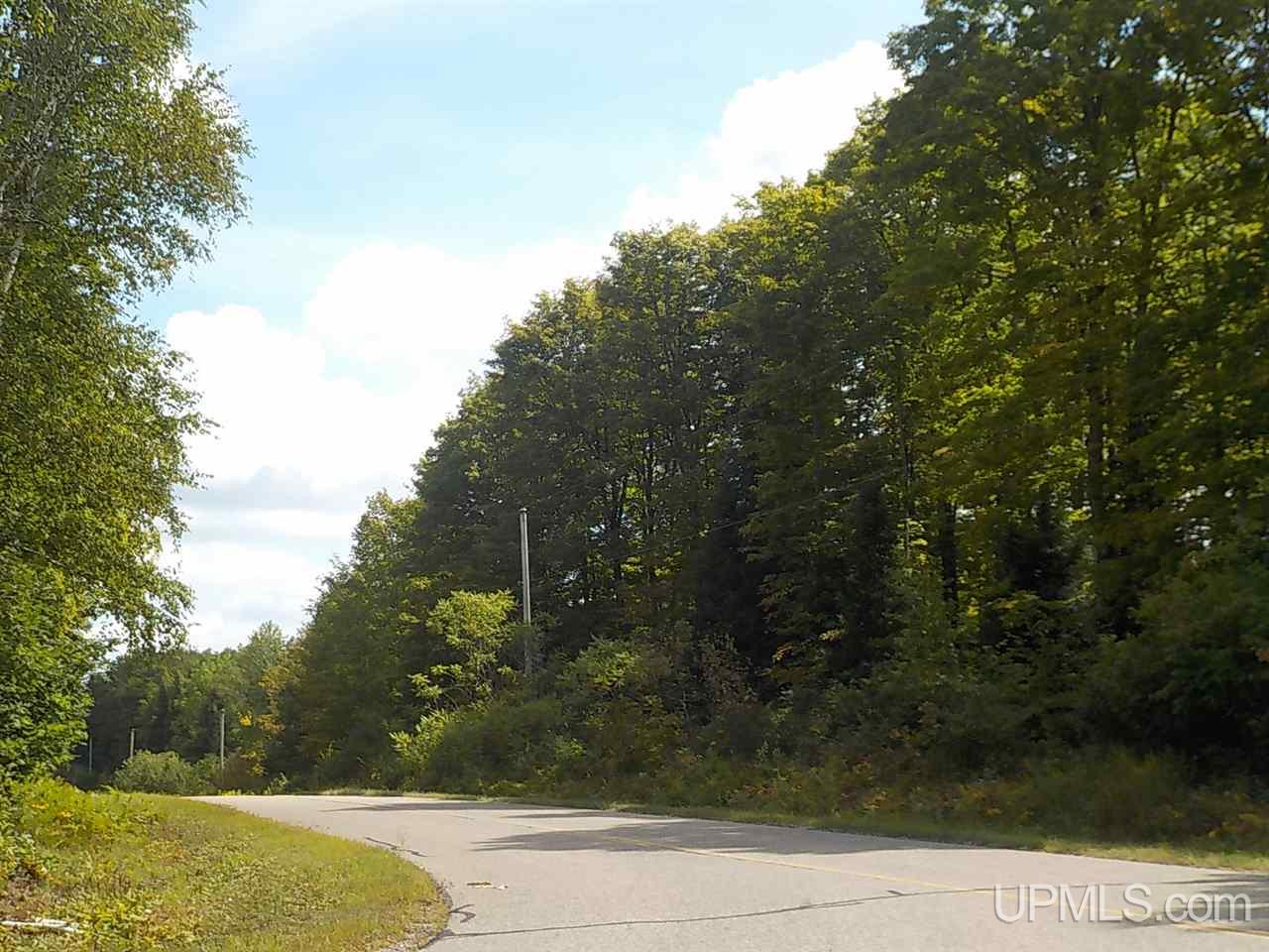 80-ac Mcclaren Road Crystal Falls, MI 49920 - Photo 5 of 27
