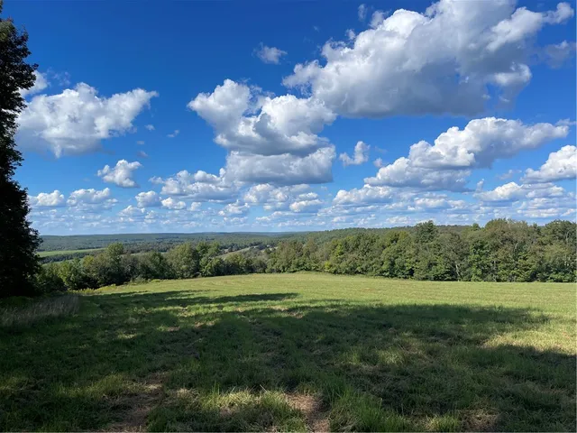 $325,000 | 18.1 Turnpike Road, Meredith, NY 13753