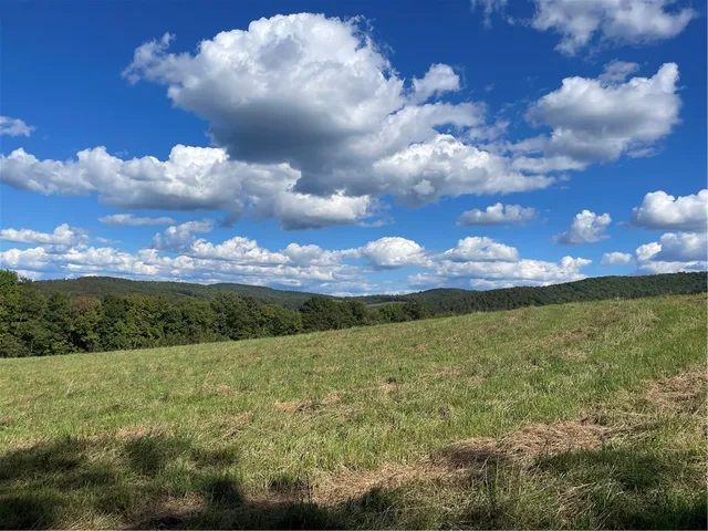 $325,000 | 18.1 Turnpike Road, Meredith, NY 13753