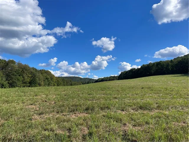 $325,000 | 18.1 Turnpike Road, Meredith, NY 13753