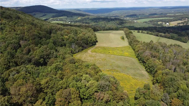 $325,000 | 18.1 Turnpike Road, Meredith, NY 13753