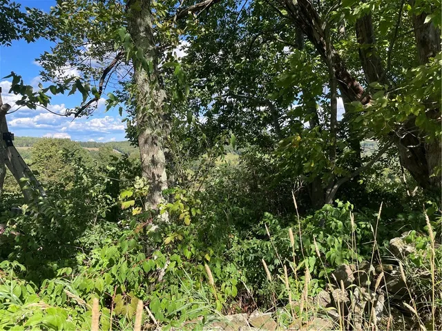 $325,000 | 18.1 Turnpike Road, Meredith, NY 13753