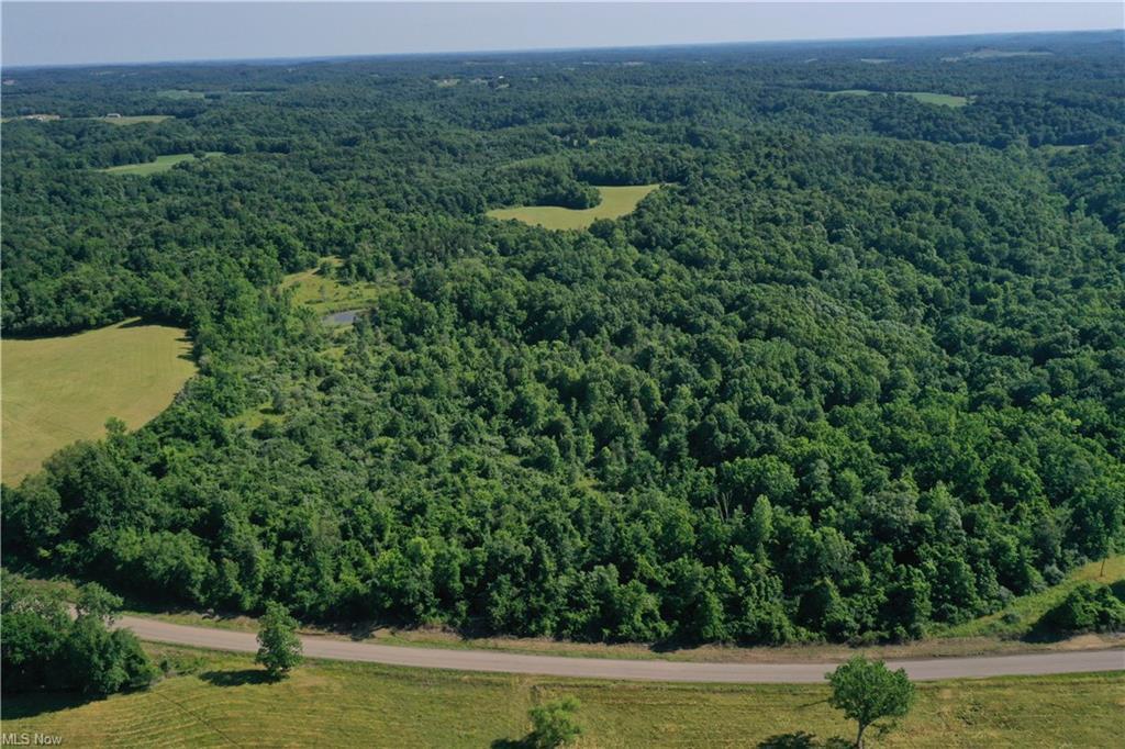 8610 West Triadelphia Road Malta, OH 43758 - Photo 29 of 42 GetMedia.ashx-14