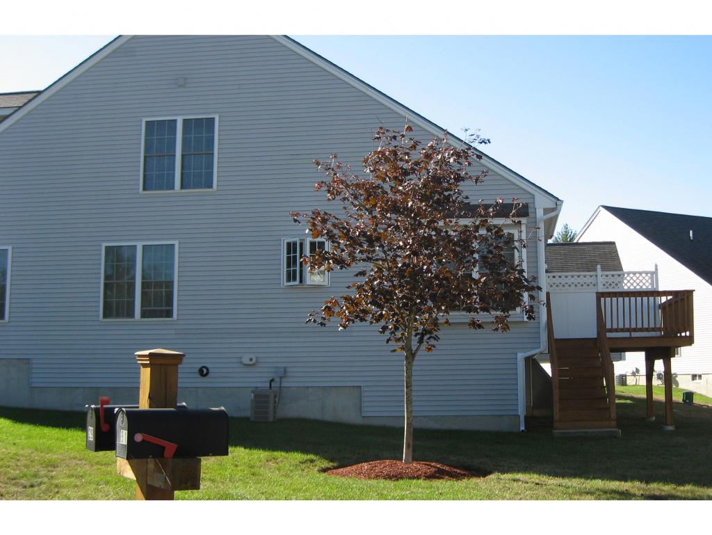27 Hadleigh Road, Unit 27 Windham, NH 03087 - Photo 5 of 28