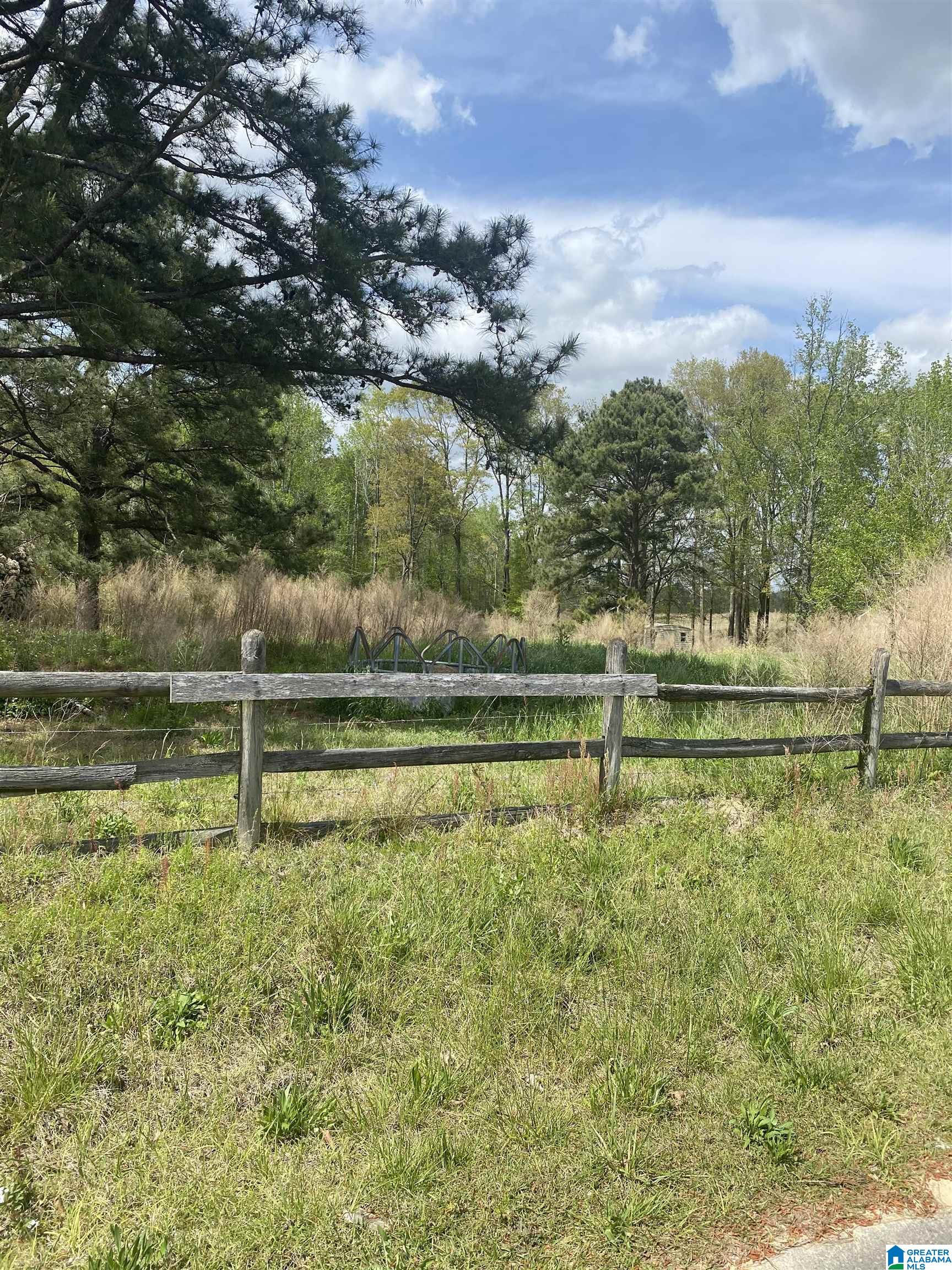 4184 Gowan Road Clanton, AL 35045 - Photo 2 of 22