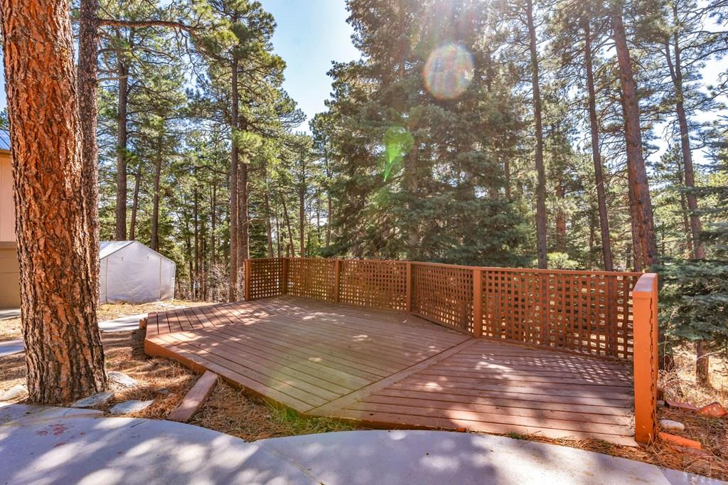 8326 Cuerna Verde Road Rye, CO 81069 - Photo 42 of 65