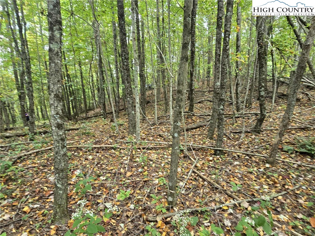 Parsons Hill Road Lansing, NC 28643 - Photo 3 of 20 Gallery Image 3