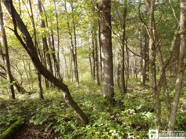 $29,900 | 0 Cabbage Hill Road, Clymer, NY 14724