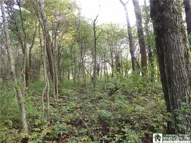 $29,900 | 0 Cabbage Hill Road, Clymer, NY 14724