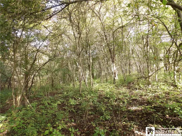 $29,900 | 0 Cabbage Hill Road, Clymer, NY 14724
