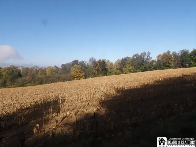 $29,900 | 0 Cabbage Hill Road, Clymer, NY 14724