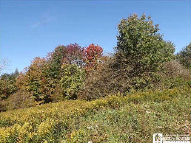 $29,900 | 0 Cabbage Hill Road, Clymer, NY 14724