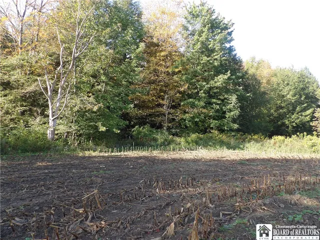 $29,900 | 0 Cabbage Hill Road, Clymer, NY 14724