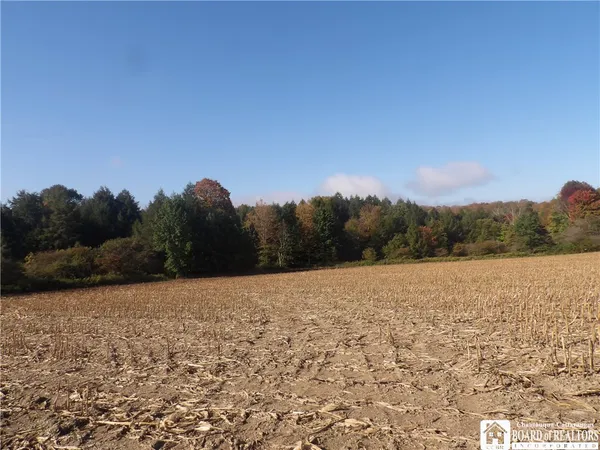 $29,900 | 0 Cabbage Hill Road, Clymer, NY 14724