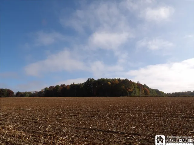 $29,900 | 0 Cabbage Hill Road, Clymer, NY 14724