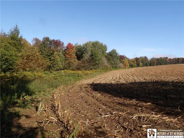 $29,900 | 0 Cabbage Hill Road, Clymer, NY 14724