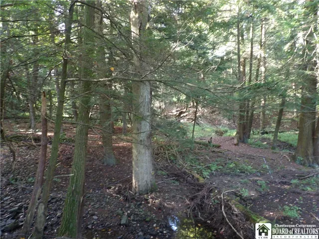 $29,900 | 0 Cabbage Hill Road, Clymer, NY 14724