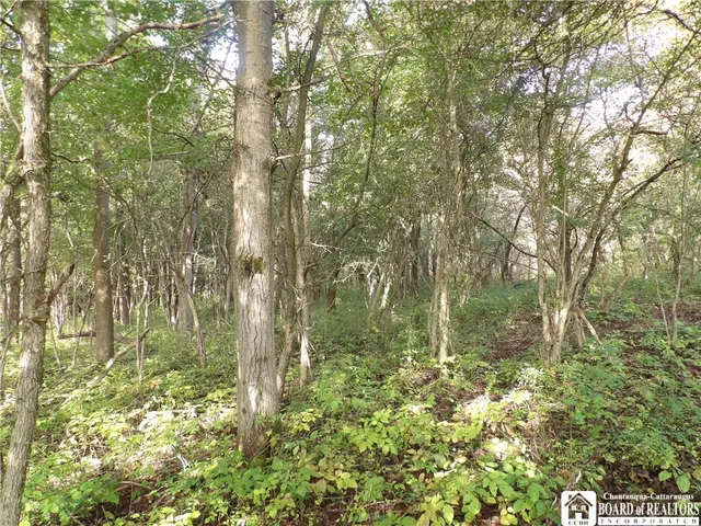 $29,900 | 0 Cabbage Hill Road, Clymer, NY 14724