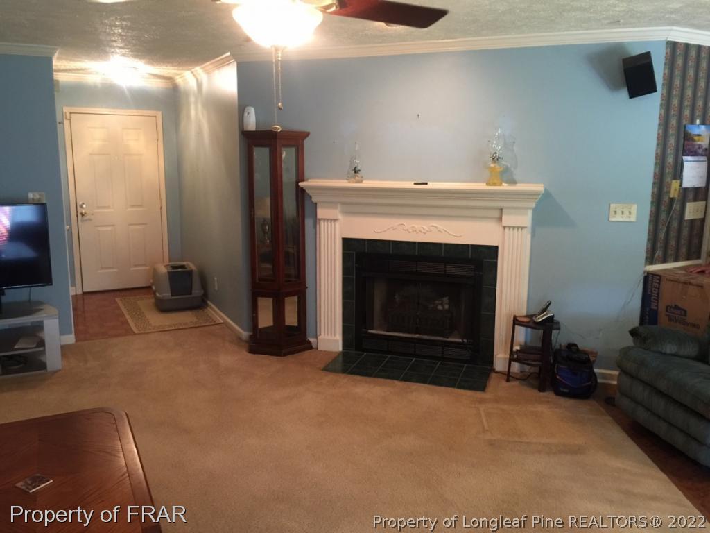 212 Overton Road Raeford, NC 28376 - Photo 6 of 19 a living room with furniture and a fireplace