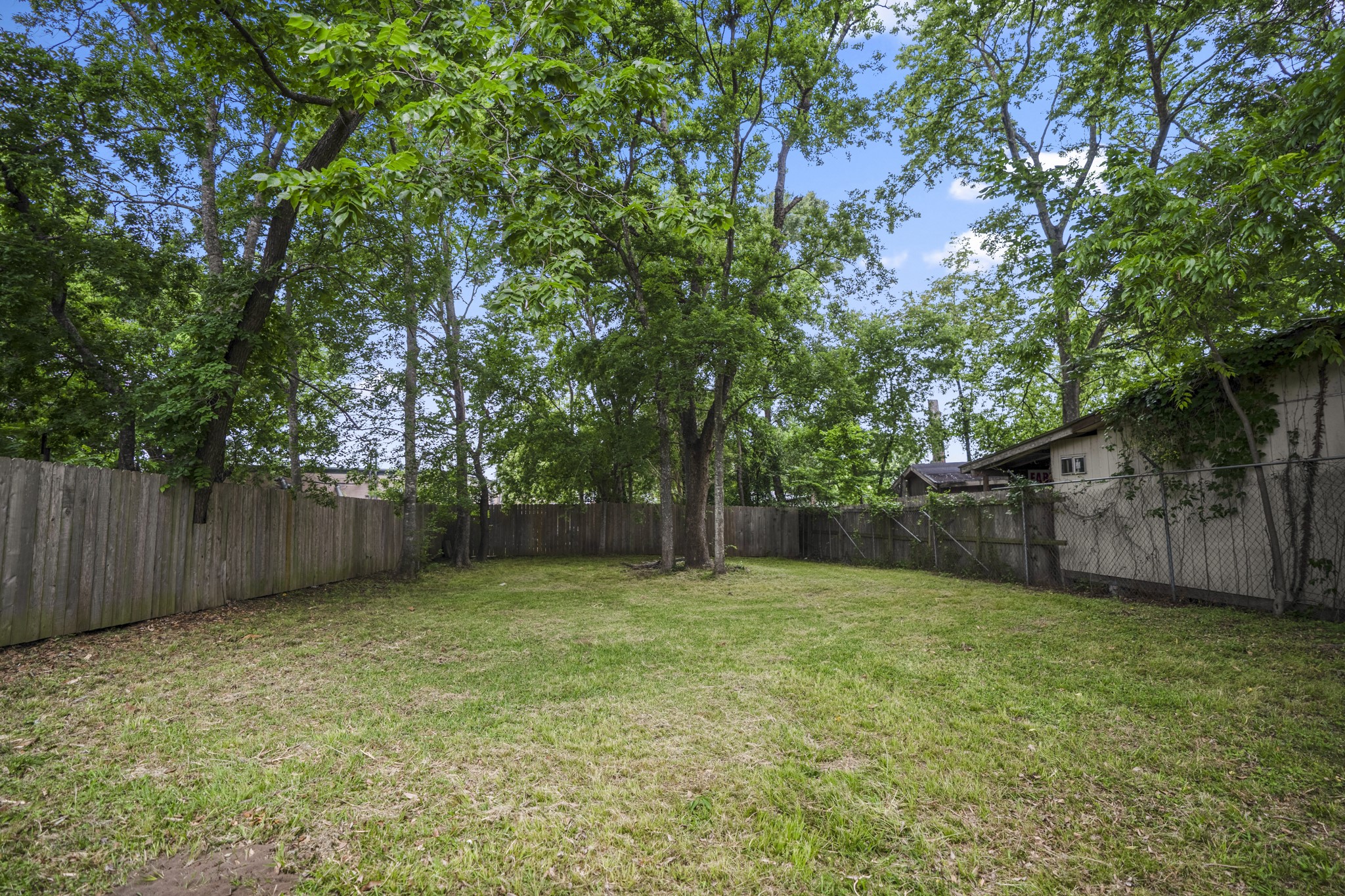 206 Murray Street Conroe, TX 77301 - Photo 37 of 38 a view of a backyard with a small yard and large trees