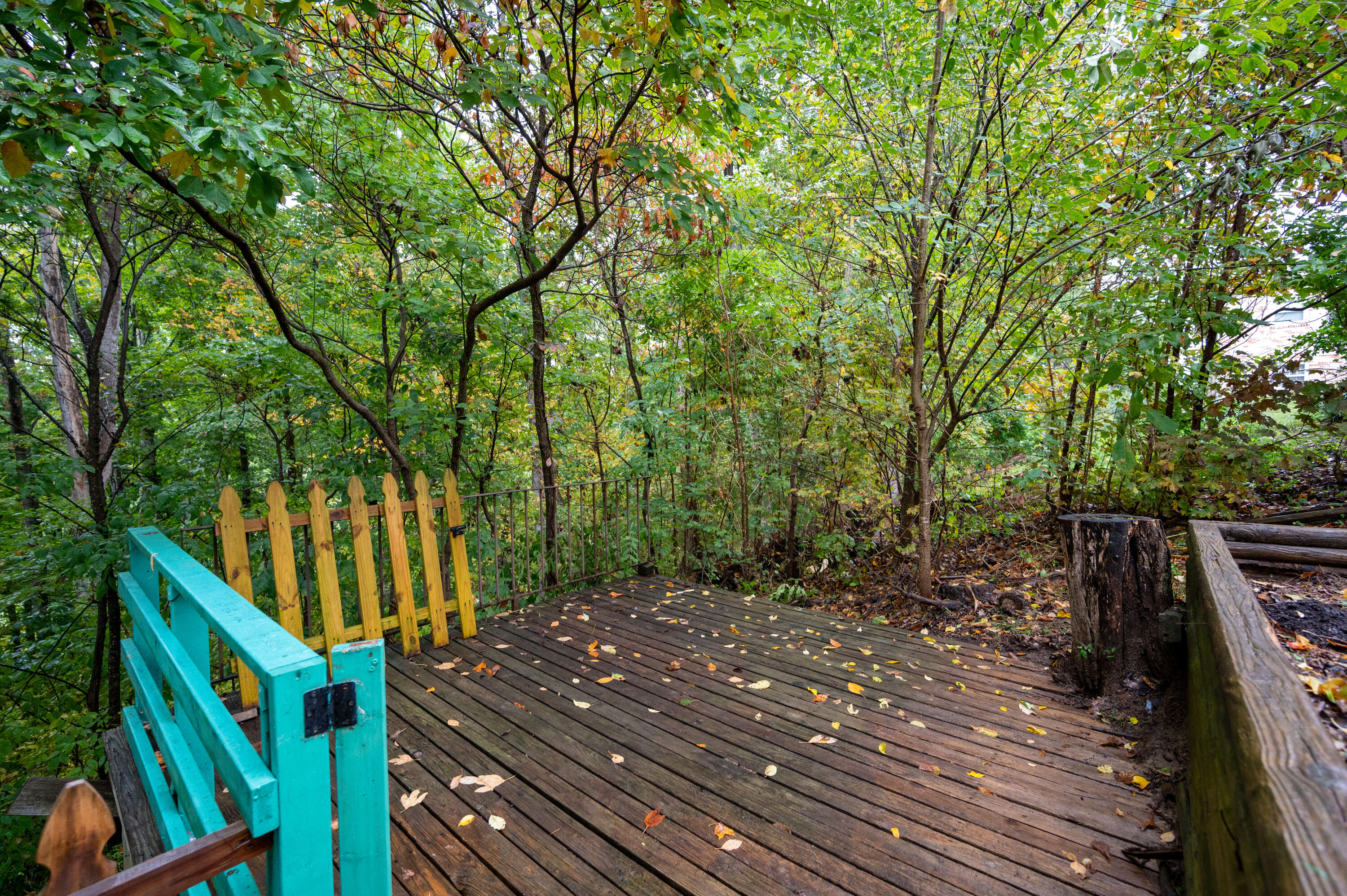 492 Merman Road Kingsport, TN 37663 - Photo 7 of 41 Merman Rd-10