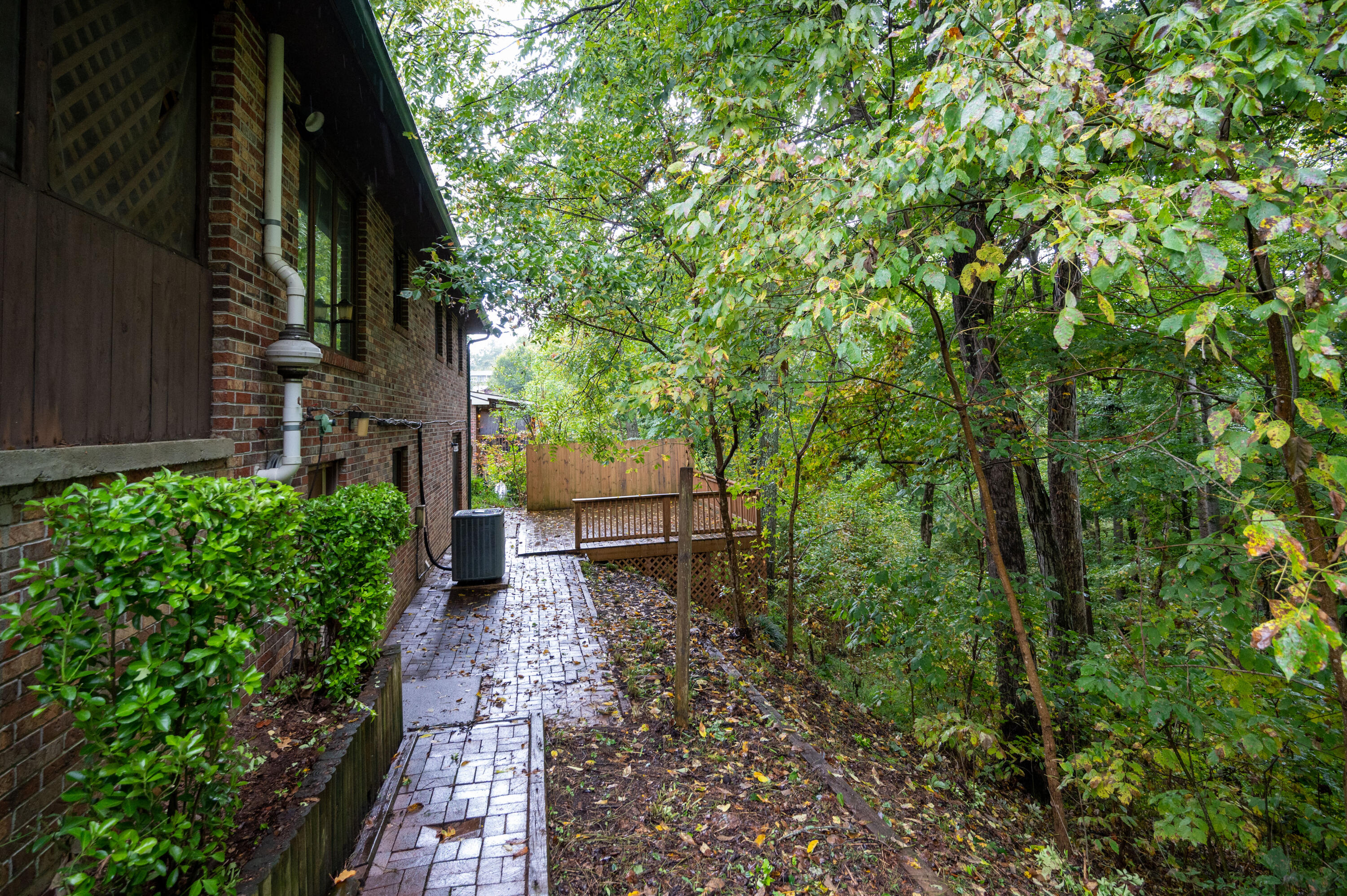 492 Merman Road Kingsport, TN 37663 - Photo 8 of 41 Merman Rd-11