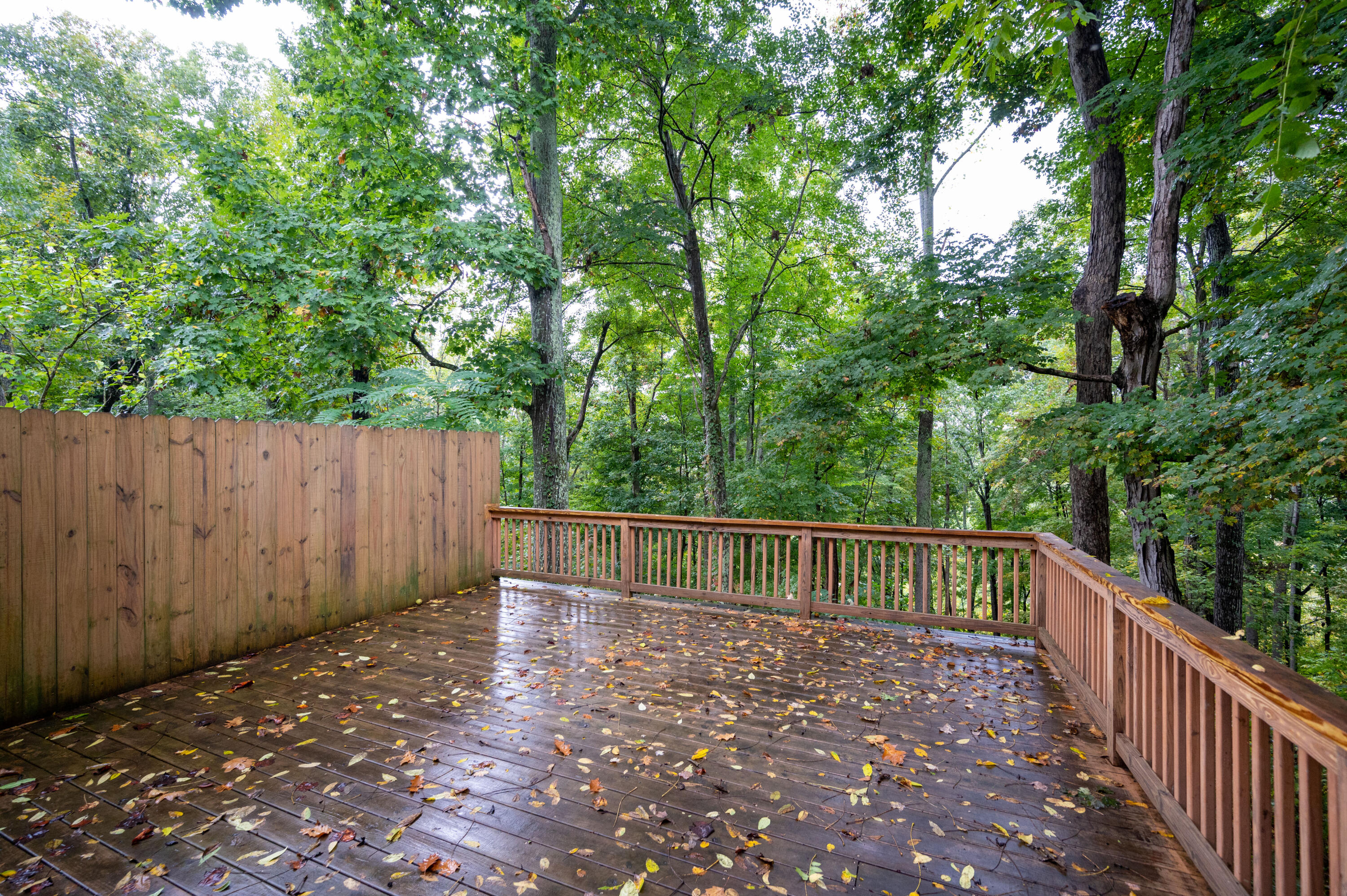 492 Merman Road Kingsport, TN 37663 - Photo 10 of 41 Merman Rd-13