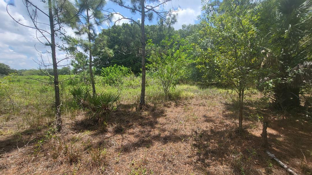 4758 Roper Road Clewiston, FL 33440 - Photo 1 of 50 Photo 1