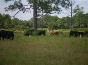 4758 Roper Road Clewiston, FL 33440 - Photo 30 of 50 Photo 30