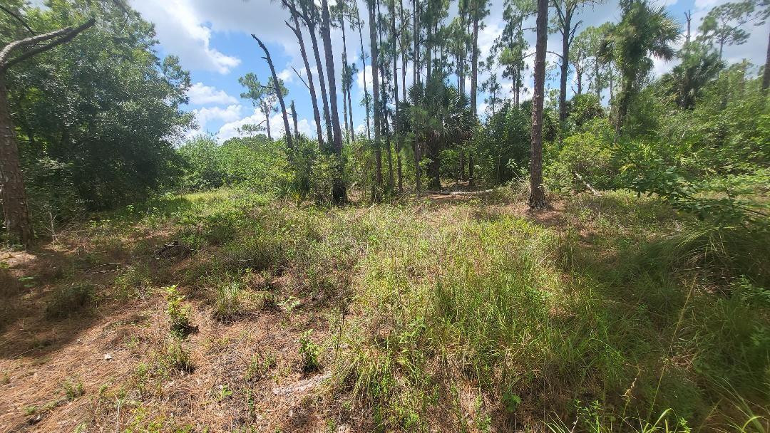 4758 Roper Road Clewiston, FL 33440 - Photo 38 of 50 Photo 38