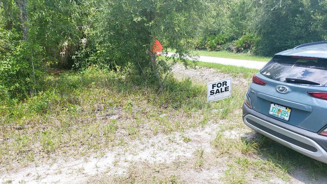 4758 Roper Road Clewiston, FL 33440 - Photo 46 of 50 LOOK FOR ORANGE FLAG OFF TANGELO