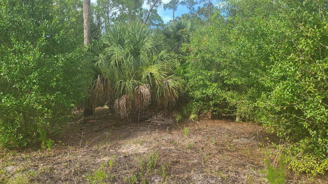 4758 Roper Road Clewiston, FL 33440 - Photo 7 of 50 Photo 7