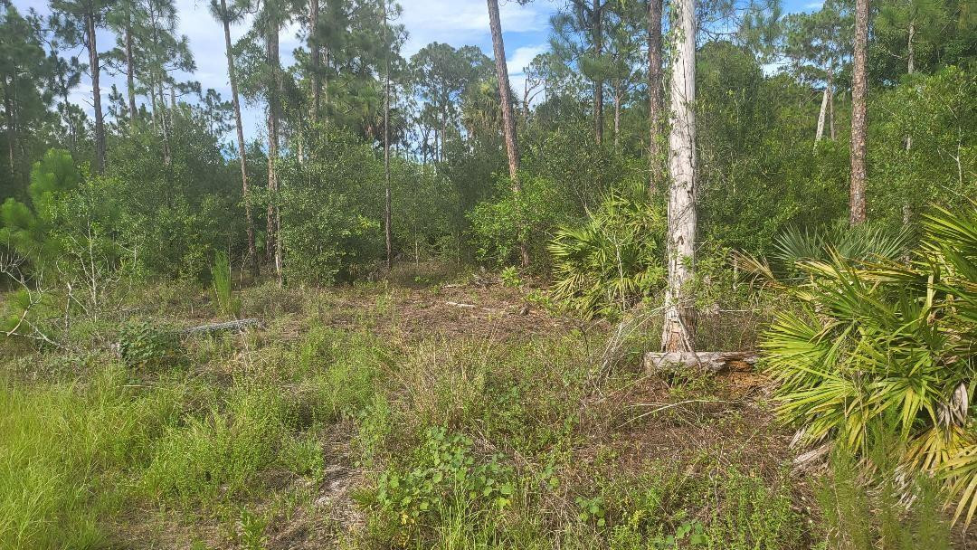 4758 Roper Road Clewiston, FL 33440 - Photo 9 of 50 Photo 9