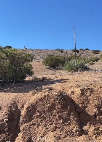 $125,000 | 0 San Gabriel Avenue, Acton, CA 93510