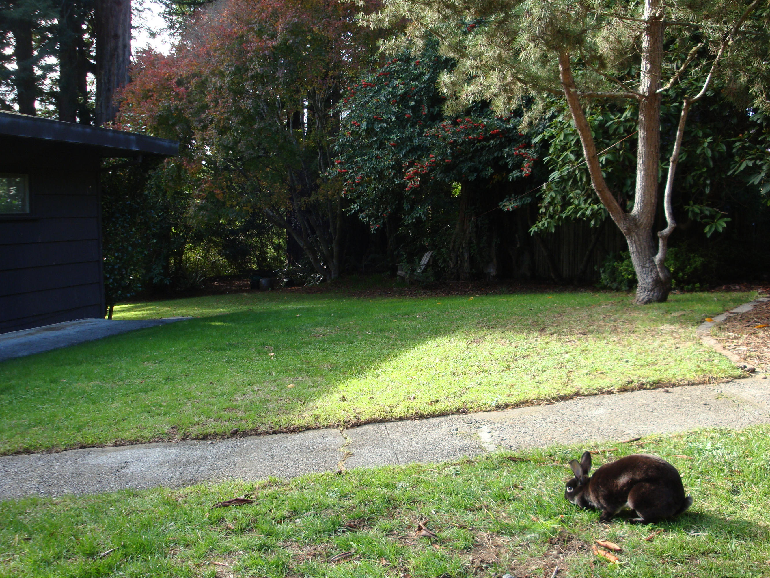 1186 Fickle Hill Road Arcata, CA 95521 - Photo 23 of 23 Gallery Image 23