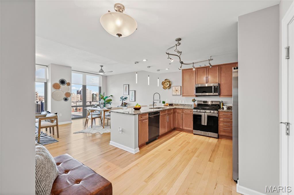 4909 Laclede Avenue, Unit 1205 St. Louis, MO 63108 - Photo 20 of 56