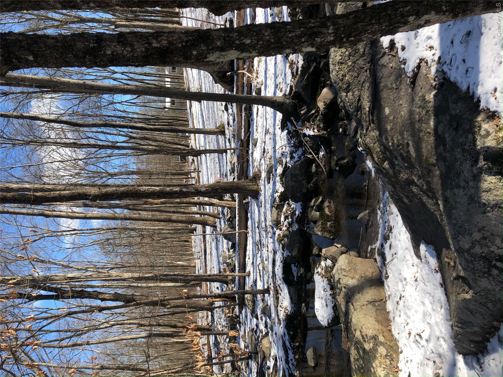 276 Tillson Lake Road Gardiner, NY 12589 - Photo 18 of 21 Winter scene