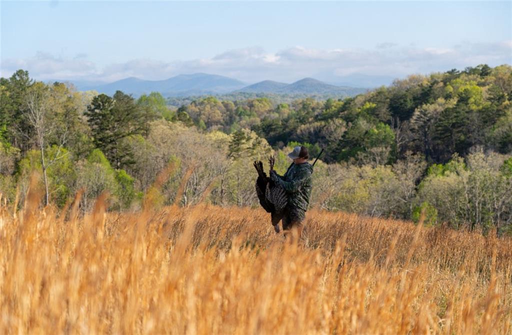 0 Dry Hollow Road Dahlonega, GA 30533 - Photo 4 of 5