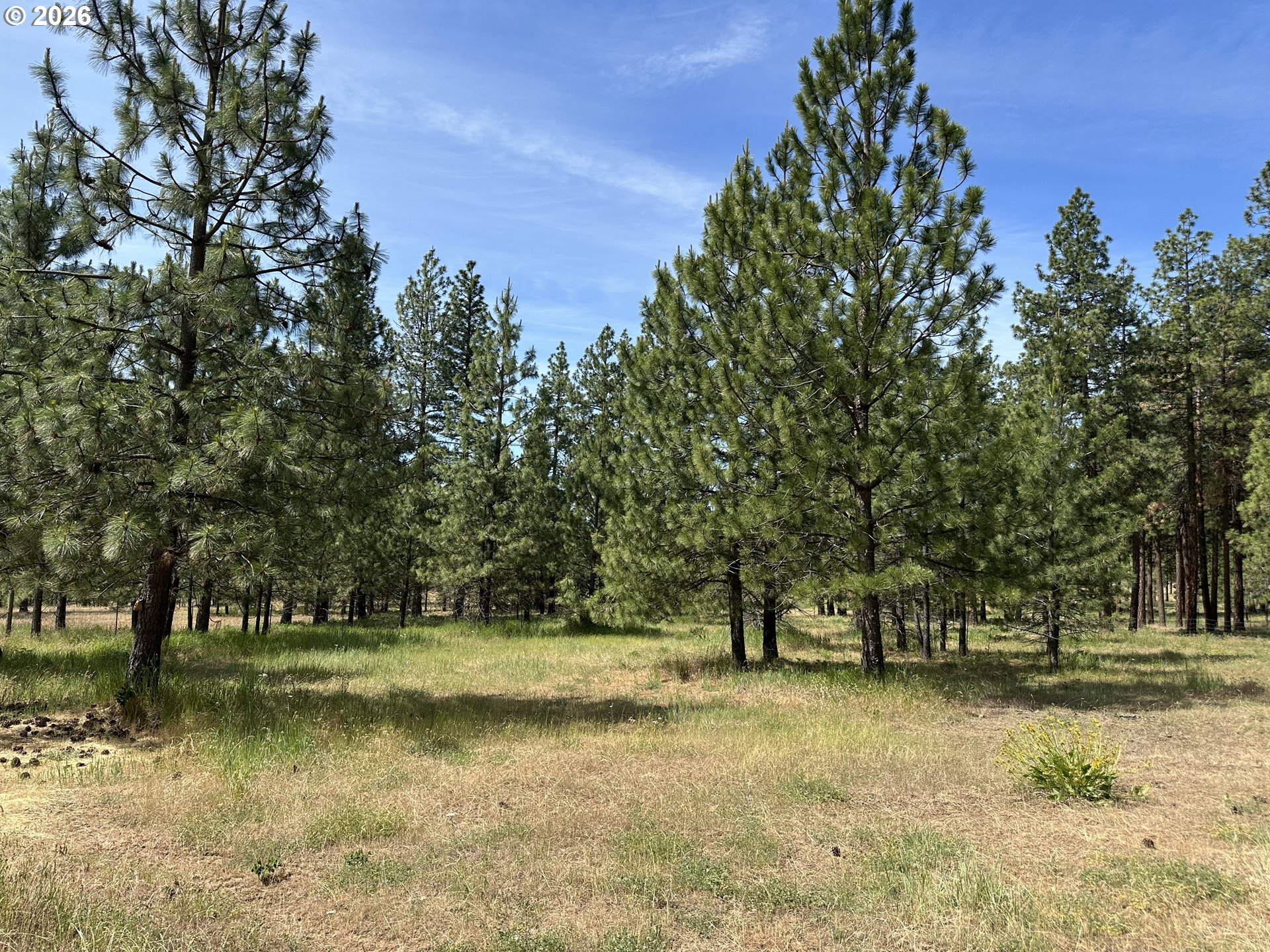 455 Old Mountain Road Goldendale, WA 98620 - Photo 34 of 42