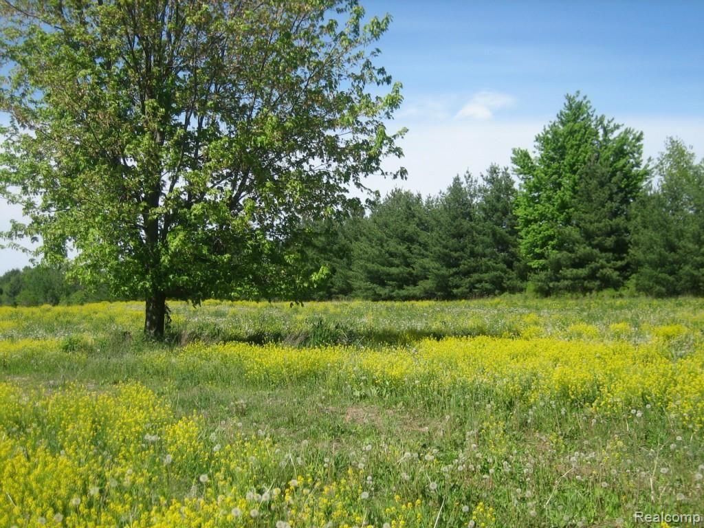 0 Lothrop Road Imlay City, MI 48444 - Photo 5 of 9