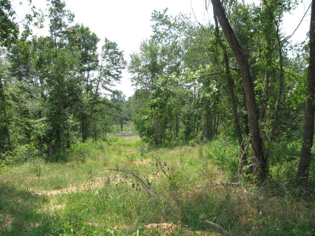 0 Weaver Road Johnston, SC 29832 - Photo 1 of 1