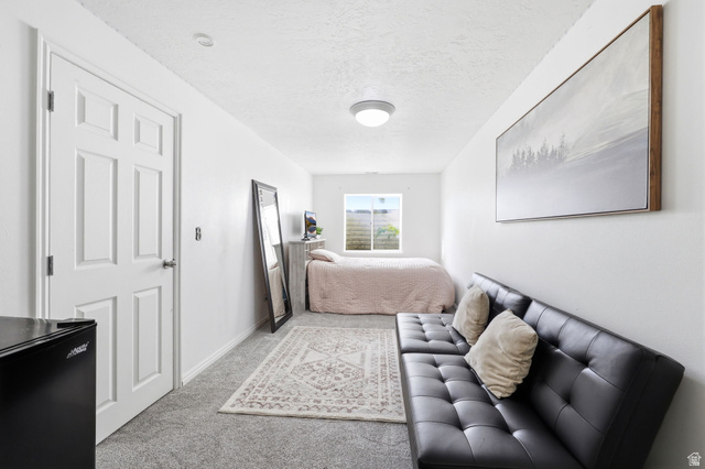 1816 River Bottom Road Springville, UT 84663 - Photo 13 of 37 Spacious room featuring neutral paint, grey carpeting, a multi-paneled interior door, and a built-in overhead light fixture