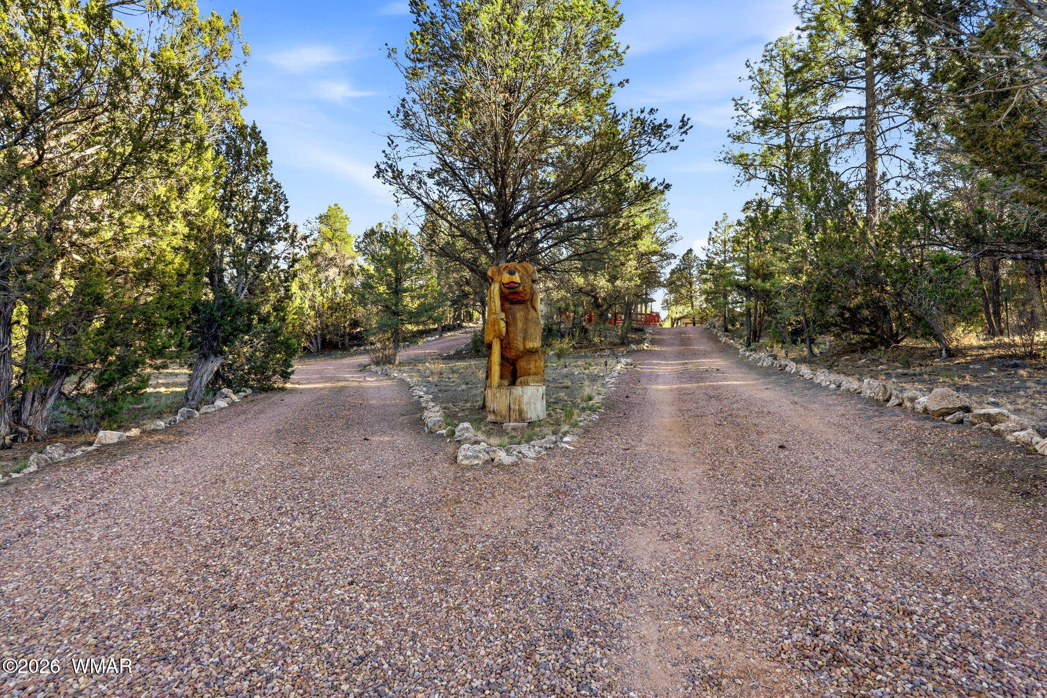 3161 Trail's End Overgaard, AZ 85933 - Photo 5 of 38