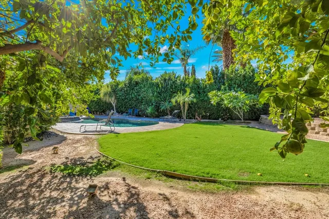 a view of a garden with a fountain