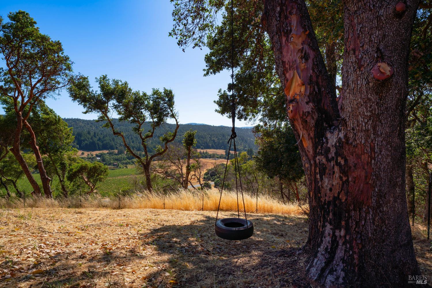 13635 Denmark Creek Road Boonville, CA 95415 - Photo 53 of 75