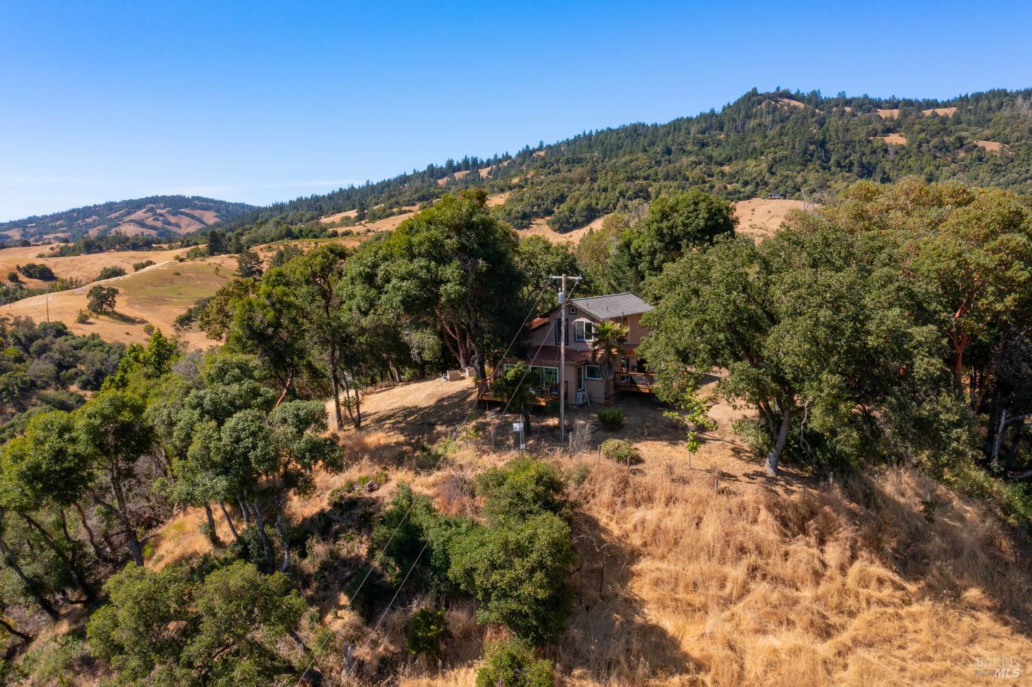 13635 Denmark Creek Road Boonville, CA 95415 - Photo 62 of 75 a view of a forest with a mountain