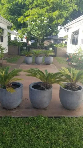 a view of a backyard with plants and water fountain