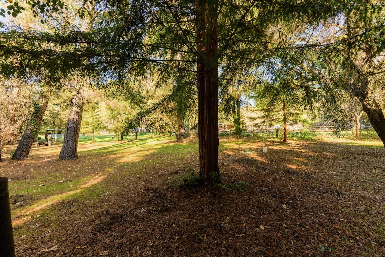 515 Lockhart Gulch Road Scotts Valley, CA 95066 - Photo 12 of 92